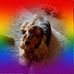 Janett Schramm - Facebook