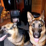 Paulus Paulus - @janetschuiling - Instagram
