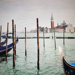 Janet Schwarz - @schwarz7365 - Instagram