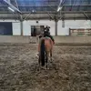 janetschwarze - @janetschwarze - TikTok