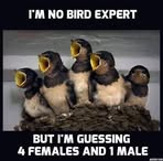 Janet Scull - Facebook