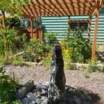 Janet Seager - @backyard4bunnies - Instagram