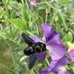 Janet Seaton - @seatonjanet - Instagram