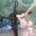 Janet Secrest - Facebook