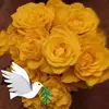 Janet Seibert - @janetseibert - TikTok