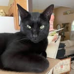 Janet Lynn - @janetsellshomes - Instagram