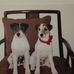Janet Settle - Facebook