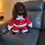 Janet Shelbab - @janet.sheldon - Instagram