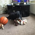 Janet Sheldon - @janet.sheldon.33 - Instagram
