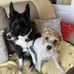 Janet Sheldon - Facebook