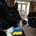 Janet Sheldon - Facebook