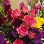 Janet Sikora - @jsikora67 - Instagram