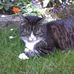 Janet Silk - Facebook