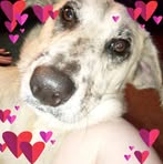 Janet Singleton - Facebook