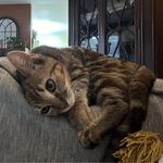 Janet Sisco Brown - @missjanetgigi - Instagram