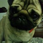 Janet Slater - @janet.slater.336 - Instagram