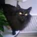 Janet Slocombe - Facebook