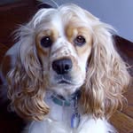 Jane Slone - @bloomersforyou - Instagram