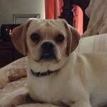 Janet Slone - @janetslone - Instagram
