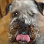 Janet Small - @jms880 - Instagram