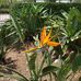 Janet Solberg - Facebook