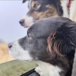 Janet Solberg Rowe - @janetsolbergrowe - Instagram