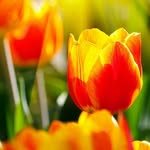 Janet Sookram - @janetsookram - Instagram