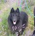 Janet Sorrell - Facebook