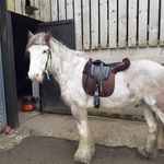 Jane Soward - @janesoward - Instagram