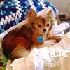 Janet Sowell - @2175124171 - TikTok