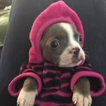 Janet Breunig Spaulding - @janetlspaulding - Instagram