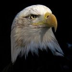 Janet - @spaulding_janet - Instagram