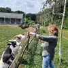 Janet Speck-Shadler - @janet.speckshadle - TikTok