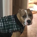 Janet Andrews Stackhouse - @janet.stackhouse1 - Instagram
