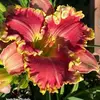 Janet Stacks - @janet.stacks - TikTok