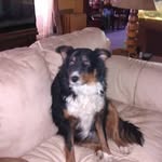 Janet Stahl - @stahl8539 - Instagram