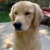 Janet Stahlman - @janetstahlman - TikTok
