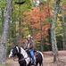 Janet Stallings - Facebook