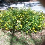 Janet Larue Stapleton - @janetstapleton3347 - Instagram