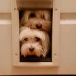 Jane Jarrett Starnes - @janejarrettstarnes - Instagram
