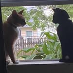 Jane Walters Starnes - @jstar133 - Instagram