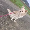 Janine Staudinger - @janine.staudinger - TikTok