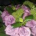 Jan Stedman - Facebook
