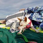 Janet Stedman - @jmesboston - Instagram