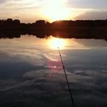 Janet Steffen - @janet.steffen.10 - Instagram
