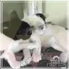 Jessi - @janettsteffen - TikTok