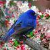 Janet Steinman - Facebook