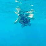 Janet Stephan - @jstephan68 - Instagram