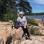 Janet Stern - @stern7559 - Instagram