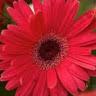 Jane Sterrett - @user01424794 - TikTok